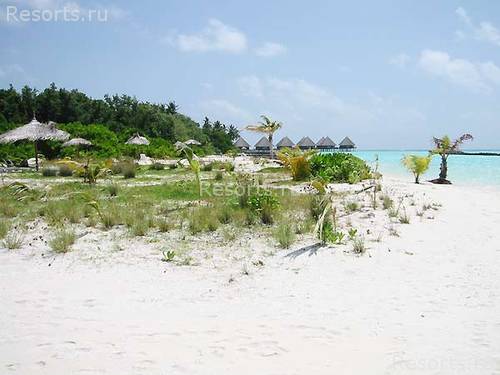 Validhu Island Resort 17